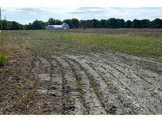 Property photo 4 - FARM & LAND AUCTION - 125+/- ACRES OFFERED IN 5 TRACTS IN EAST ALLEN COUNTY, INDIANA